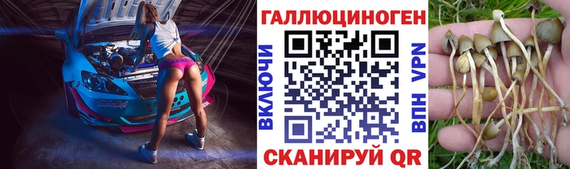 Псилоцибиновые грибы GOLDEN TEACHER  hydra ссылки  Брянск 