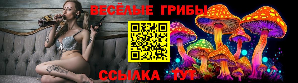 закладка  Псилоцибиновые грибы мицелий  Вход с VPN  Галлюциногенные грибы Cubensis  Брянск 
